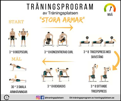Träningsprogram gym gratis